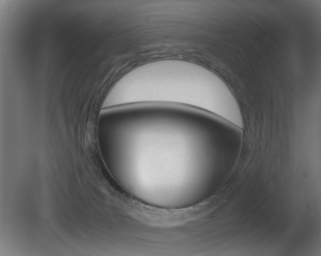 X0000081390035200701111218