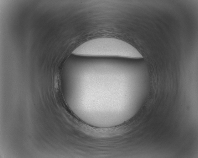 X0000081390038200701111218