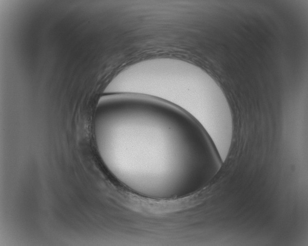 X0000081390039200701111218