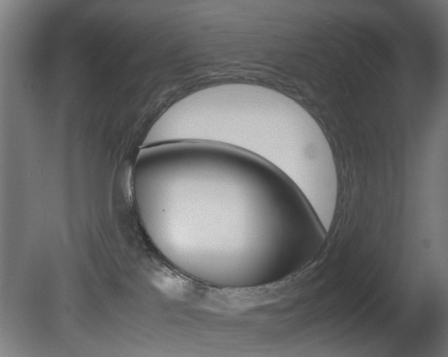X0000081390041200701111218