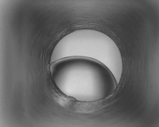 X0000081390045200701111218
