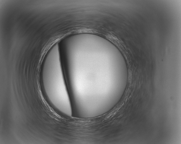 X0000081390049200701111217