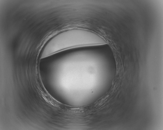X0000081390050200701111217
