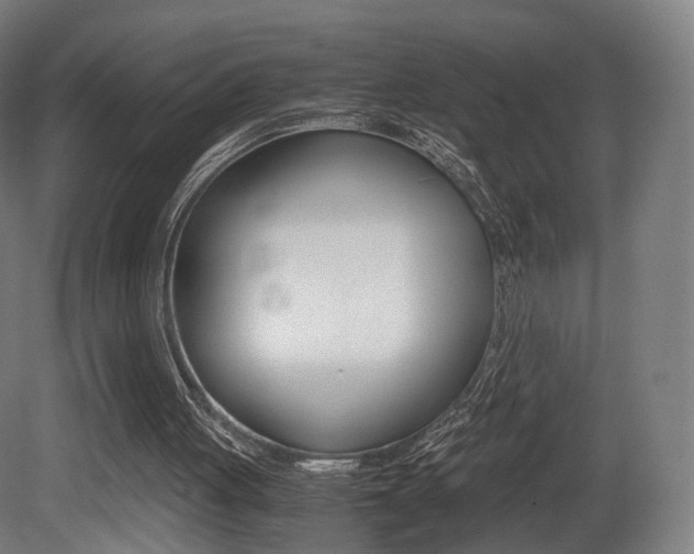 X0000081390051200701111217