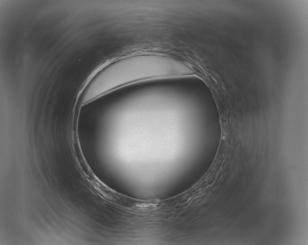 X0000081390052200701111217