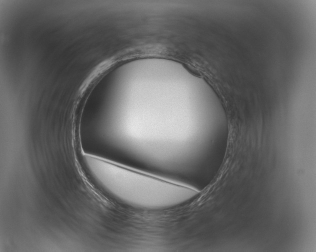 X0000081390054200701111217