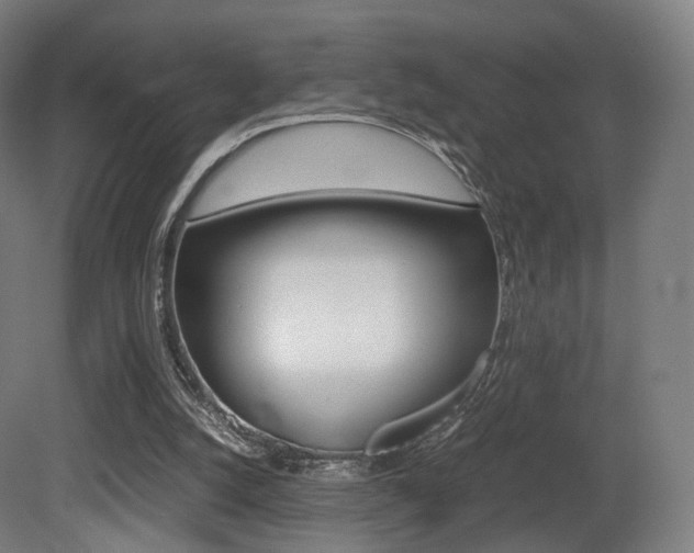 X0000081390056200701111217