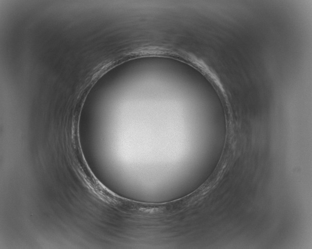 X0000081390057200701111217