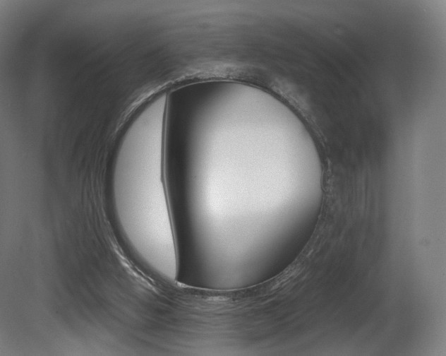 X0000081390058200701111217