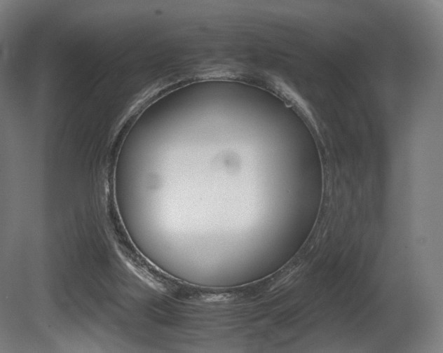 X0000081390059200701111217