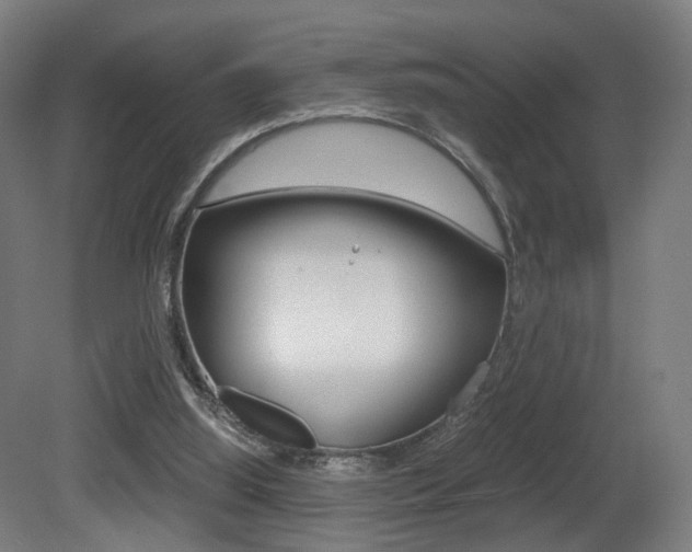 X0000081390060200701111217