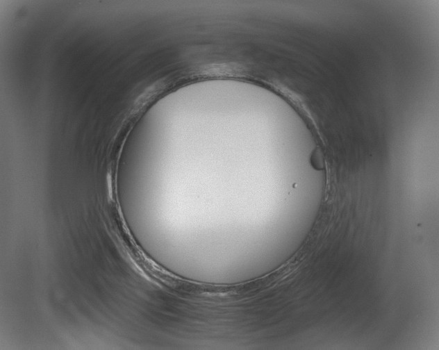 X0000081390061200701111217