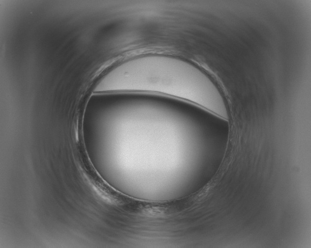 X0000081390062200701111217