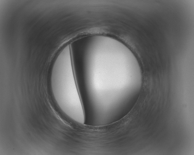 X0000081390063200701111217