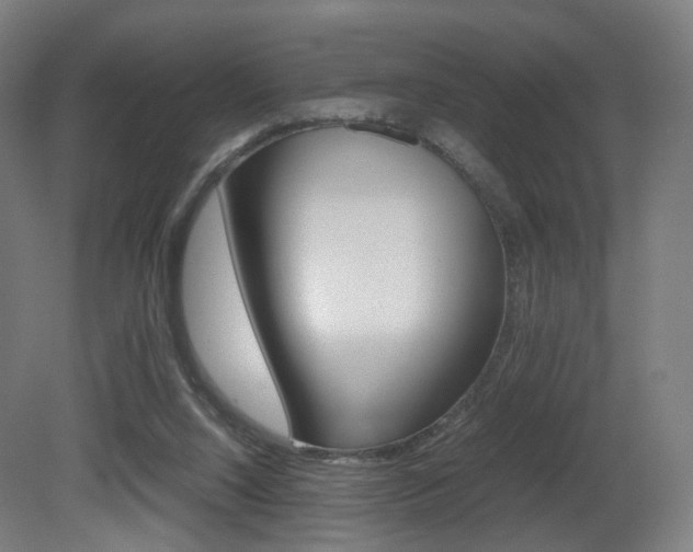 X0000081390064200701111217