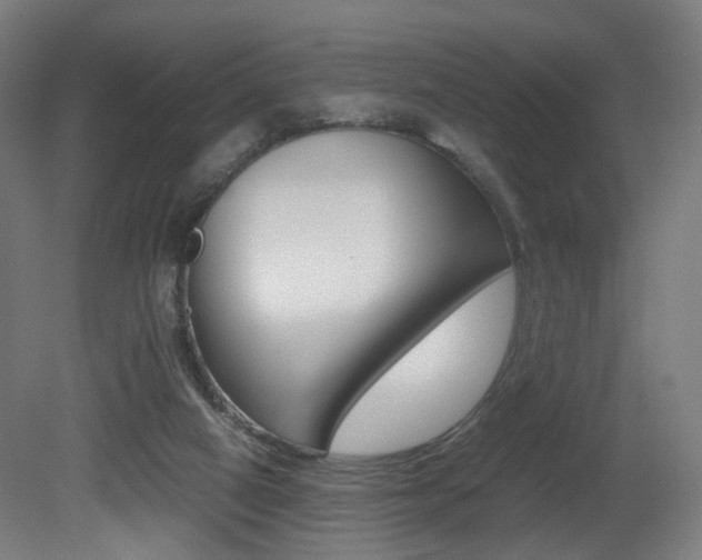 X0000081390066200701111217