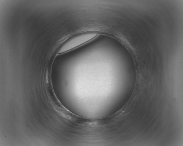 X0000081390068200701111218