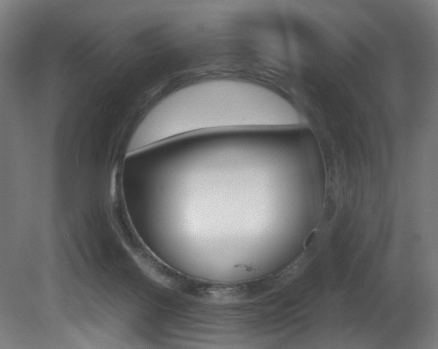 X0000081390070200701111218