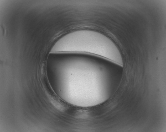 X0000081390071200701111218