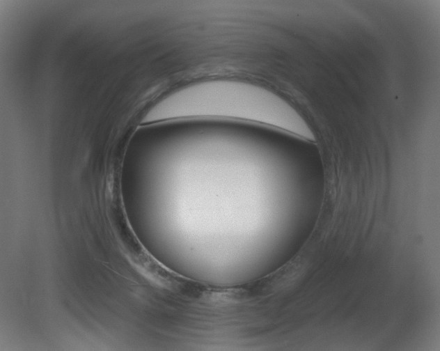 X0000081390072200701111218