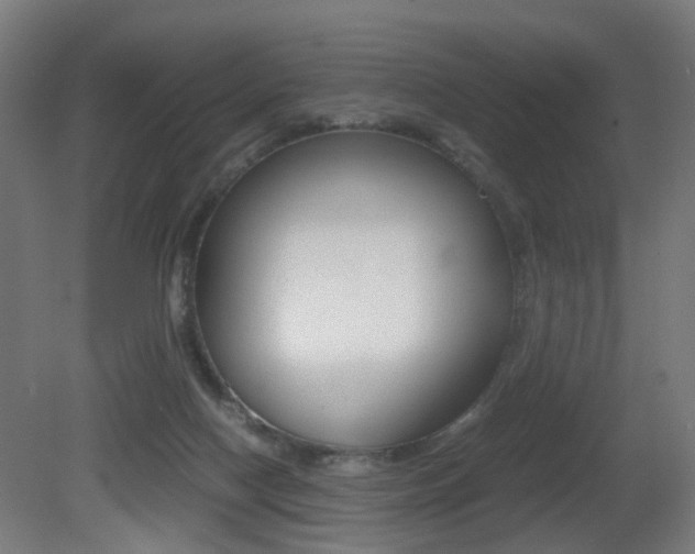 X0000081390074200701111218