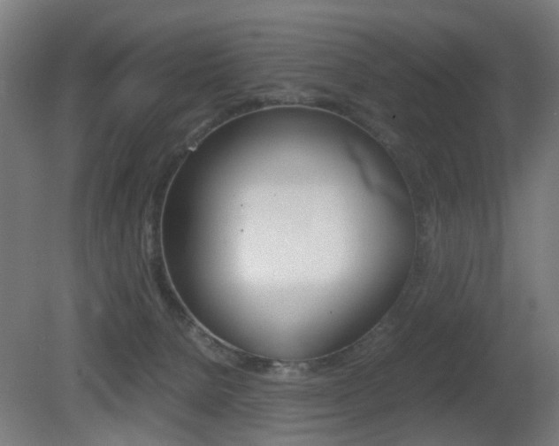 X0000081390080200701111218