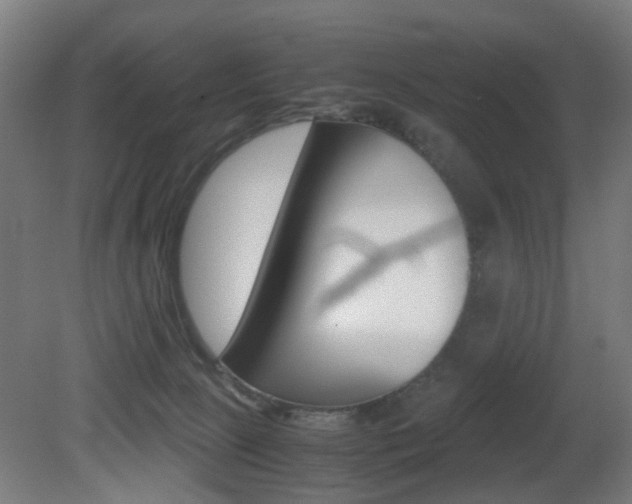 X0000081390081200701111218