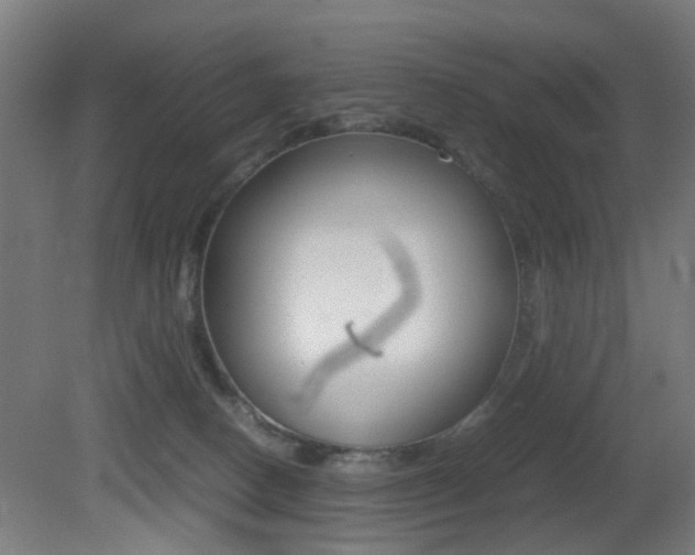 X0000081390082200701111218