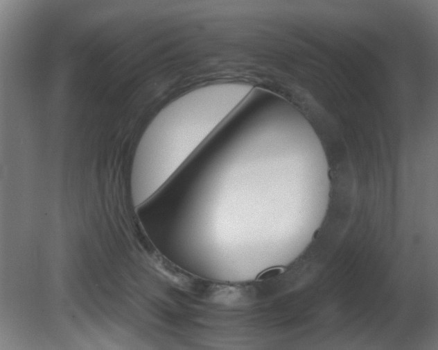 X0000081390083200701111218