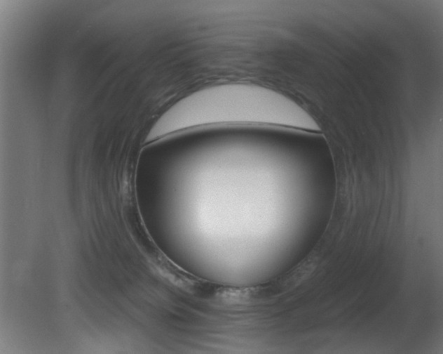 X0000081390084200701111218