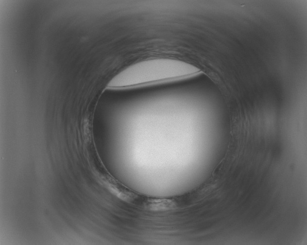 X0000081390087200701111218