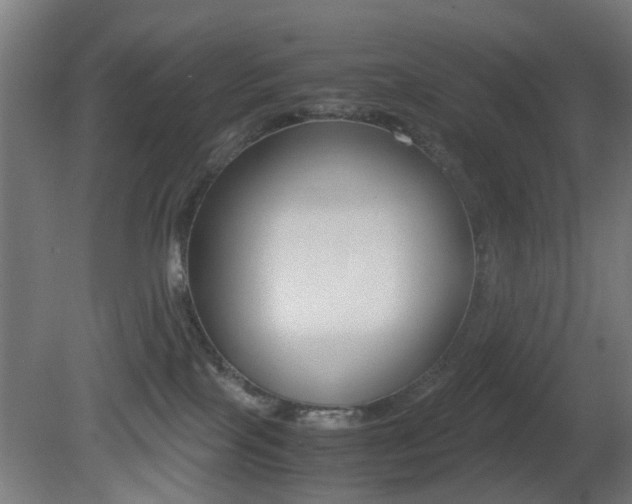 X0000081390089200701111218
