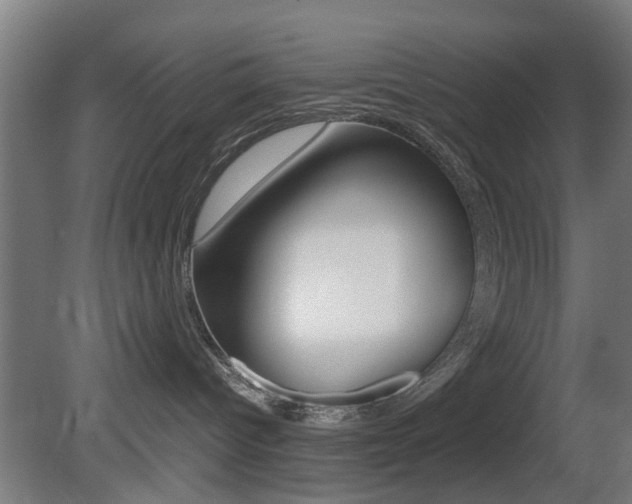 X0000081390096200701111218
