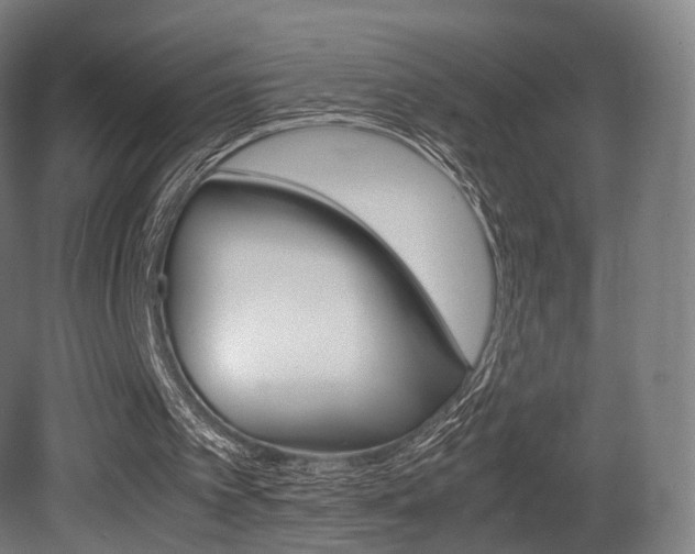 X0000081390097200701111217