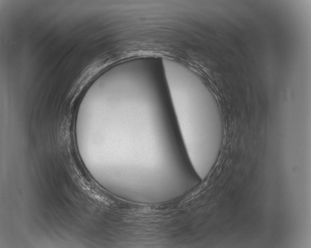 X0000081390098200701111217