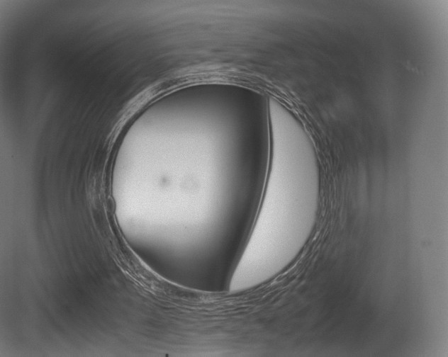 X0000081390099200701111217