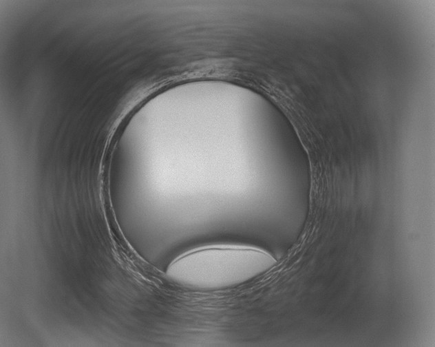 X0000081390100200701111217