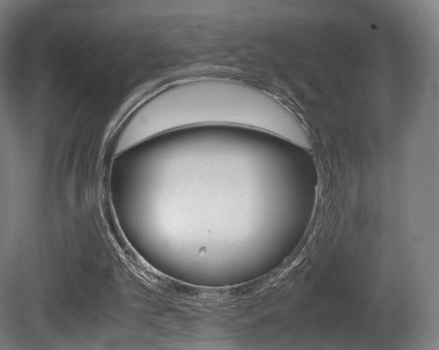 X0000081390101200701111217