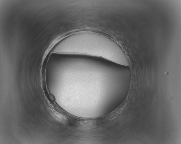 X0000081390102200701111217