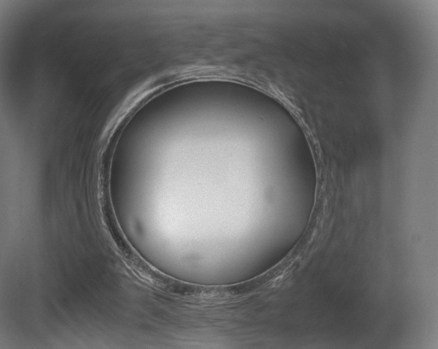 X0000081390103200701111217