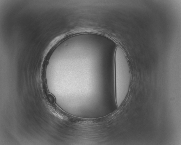 X0000081390104200701111217