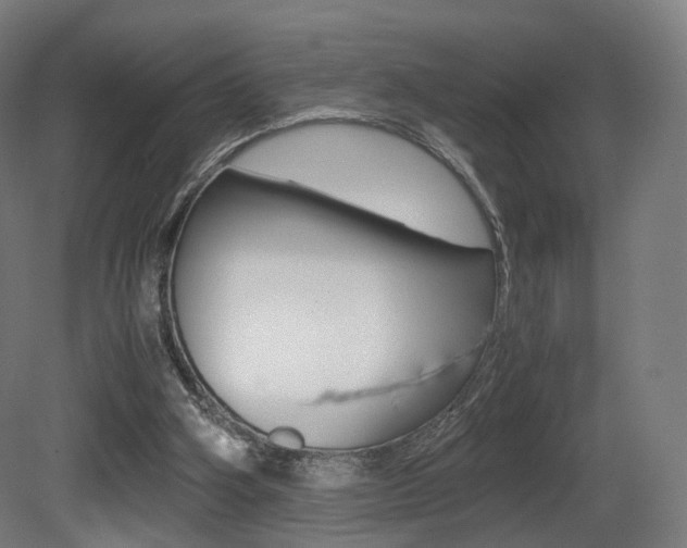 X0000081390106200701111217