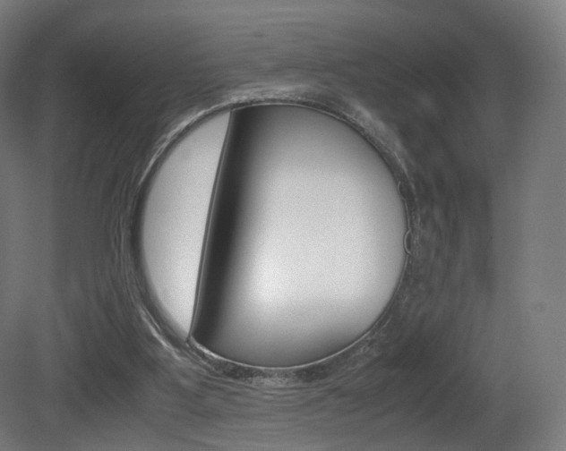 X0000081390107200701111217