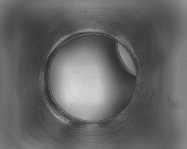 X0000081390108200701111217