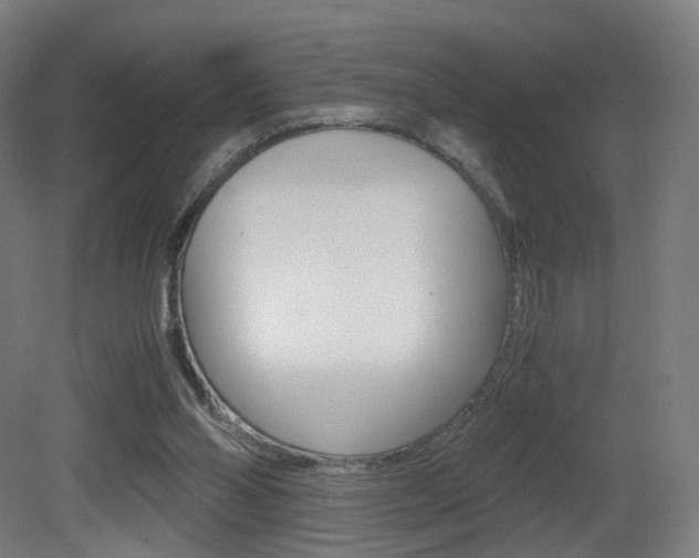 X0000081390110200701111217