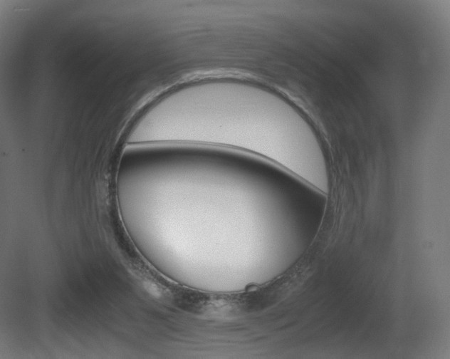 X0000081390111200701111217