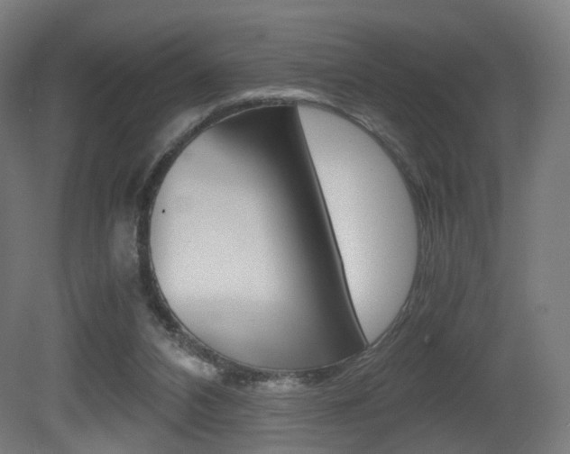 X0000081390112200701111217