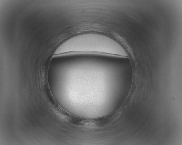 X0000081390113200701111217