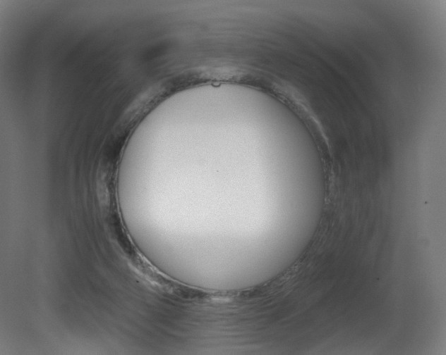 X0000081390114200701111217