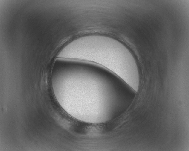 X0000081390115200701111217